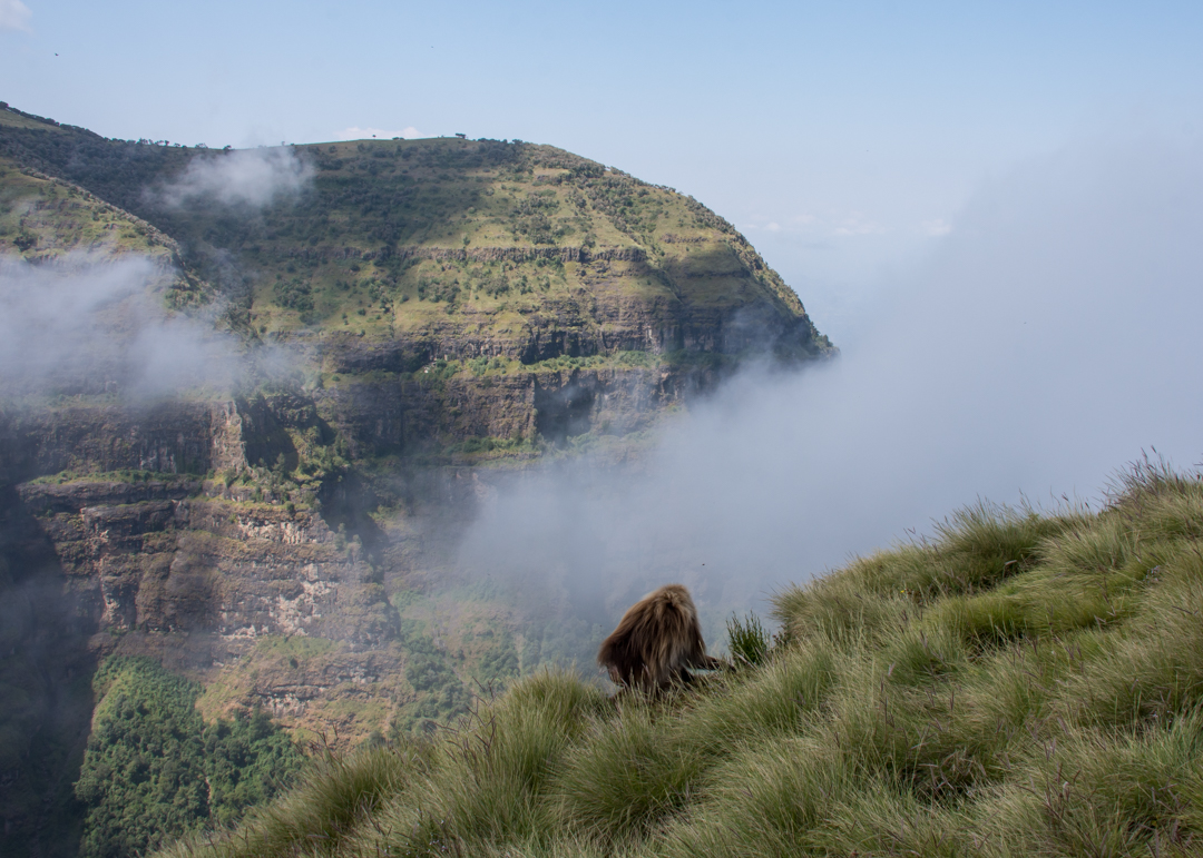 6-Day Simien Mountains Trekking