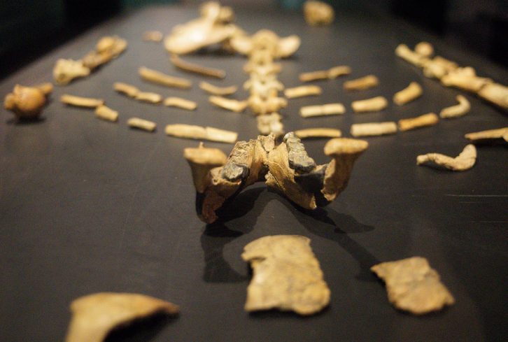 Lucy-National-Museum-Addis-Ababa-Ethiopia-2017